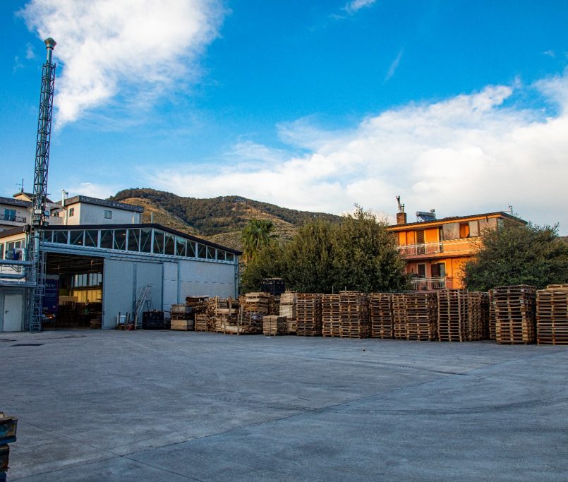 WhatsApp Image 2024-05-02 at 12.40.40 (3)